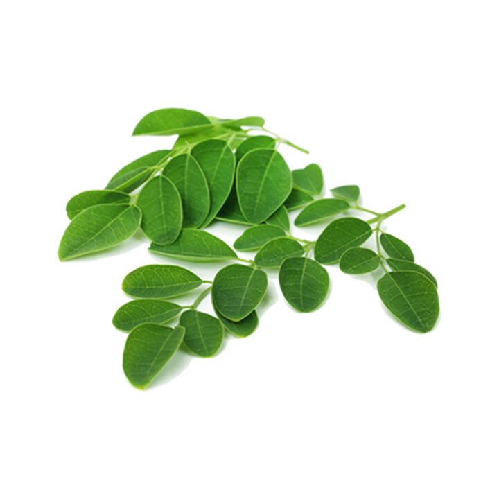 Το Normadex περιέχει φύλλα moringa - ένα αποτελεσματικό φυσικό φάρμακο κατά των παρασίτων